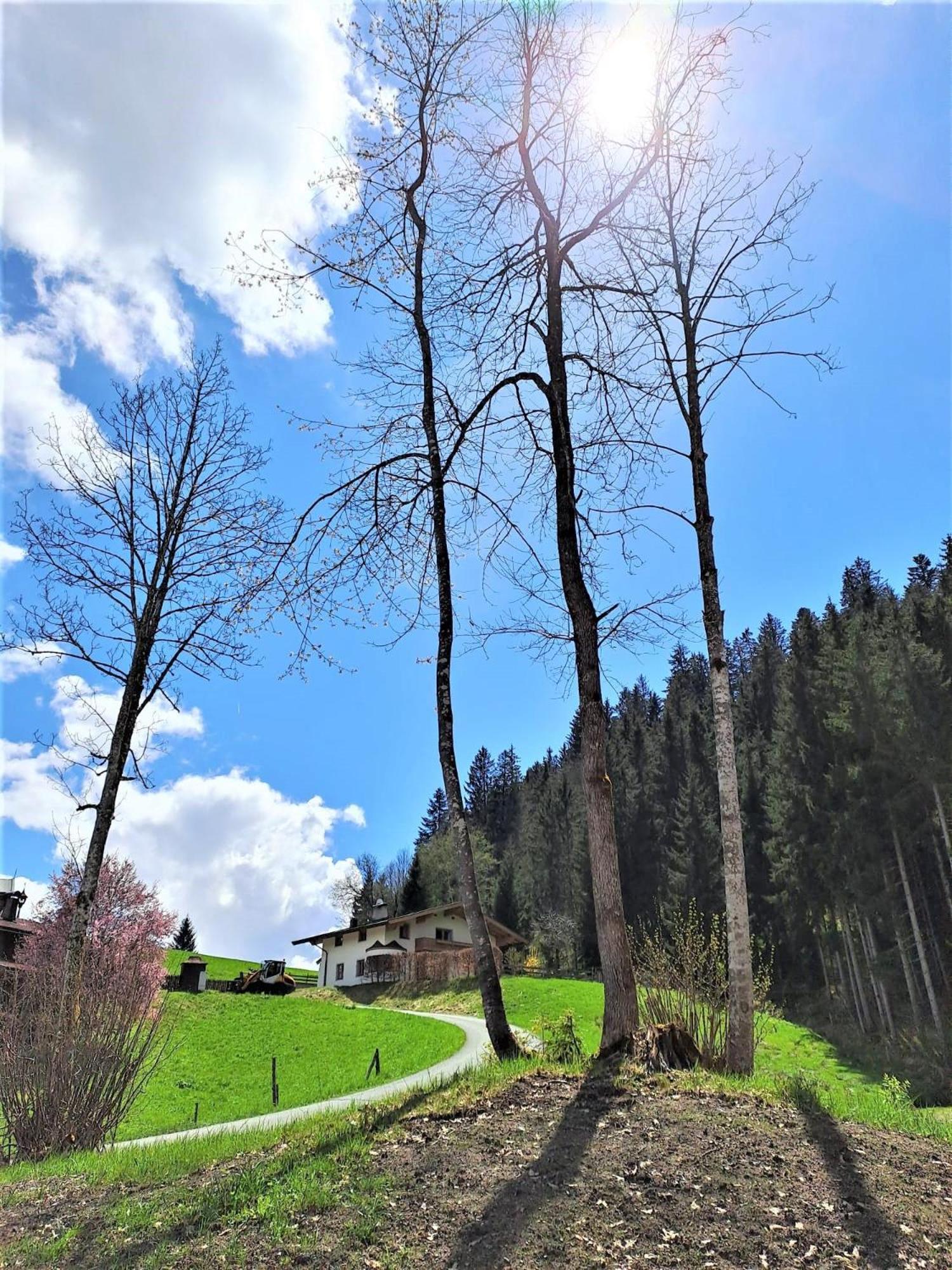 Ferienhaus Hansl Prama エクステリア 写真